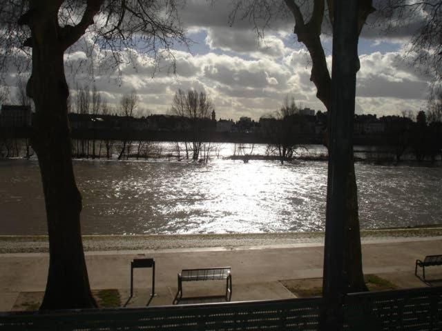 Appart Gite Les Oiseaux- Face Loire Quai Du Chatelet 奥尔良 外观 照片