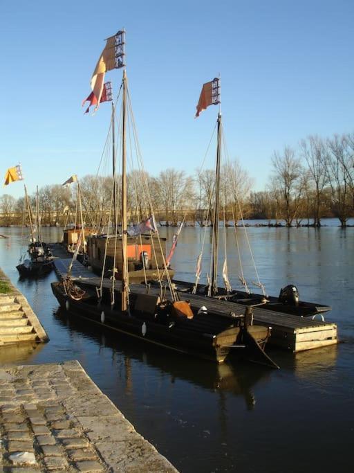 Appart Gite Les Oiseaux- Face Loire Quai Du Chatelet 奥尔良 外观 照片