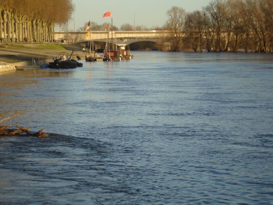 Appart Gite Les Oiseaux- Face Loire Quai Du Chatelet 奥尔良 外观 照片